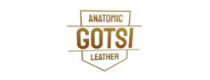 GOTSI ANATOMIC